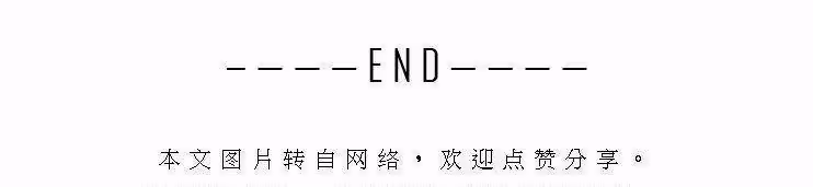 莫氏評選榜單丨我心目中最好的殺手電影,《子彈列車》上榜(13)