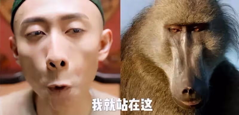 因為一部爛片而跌入谷底的6位演員,無論有多少代表作,都很難保證口碑,可惜
