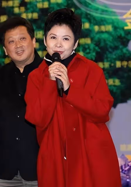 22歲嫁初戀,23歲走紅,38歲跌落神壇,董文華現在怎麼樣了?