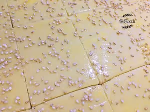 老式 發麵餅乾