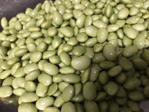 豆子炒肉沫