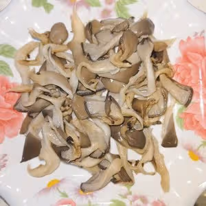 孜然平菇
