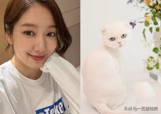 朴信惠公開產後近況 為崔泰俊生下可愛兒子 13歲出演天國的階梯走紅