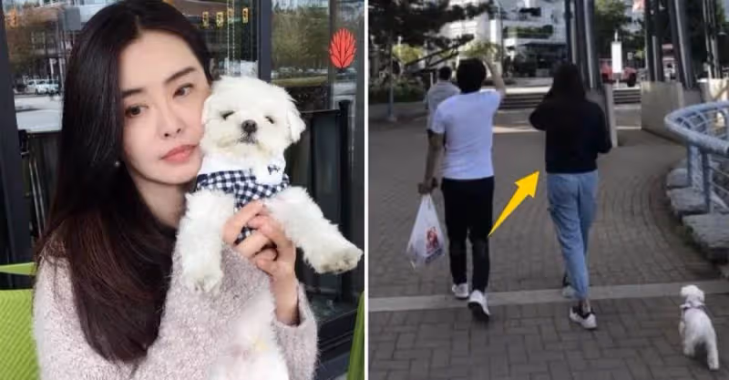 55歲王祖賢溫哥華被偶遇！獨自一人遛狗，皮膚白皙溫柔似少女，網贊：真養眼