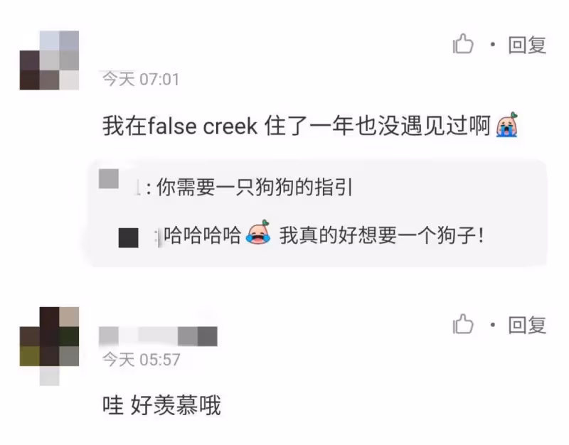 55歲王祖賢溫哥華被偶遇!獨自一人遛狗,皮膚白皙溫柔似少女,網贊:真養眼