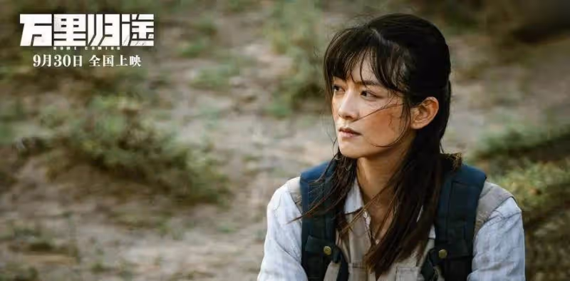 上映9天破11億票房！這次張藝新片或為主旋律電影指明方向