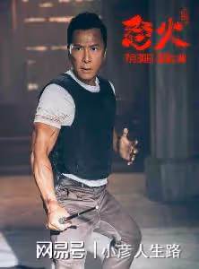 甄子丹新片票房慘澹,他終於體會到了成龍和李連杰的尷尬