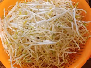 🔥減肥必備菜素炒酸辣豆芽～開胃爽口