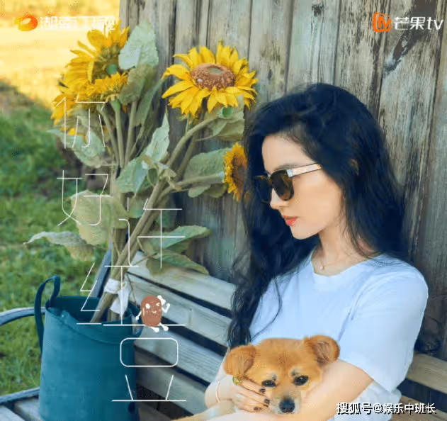 《去有風的地方》原著小說是什麼?《去有風的地方》講的是什麼故事