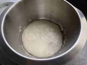 自由歐包（波蘭種）