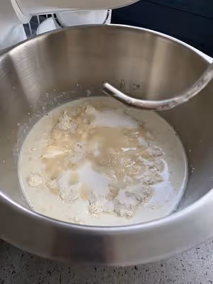 自由歐包（波蘭種）