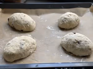 自由歐包（波蘭種）