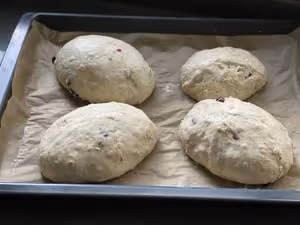 自由歐包（波蘭種）