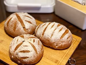 自由歐包（波蘭種）