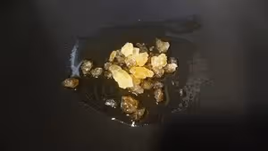 茶香排骨
