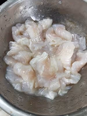 金湯巴沙魚
