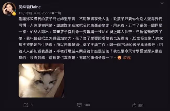 小龍女流落街頭原因 吳綺莉報警趕Andi回加拿大