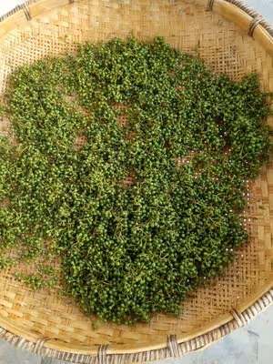 農家木姜子辣椒醬