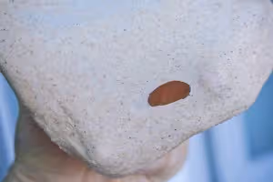 全麥肉桂貝果（教你如何縮短揉面時間）
