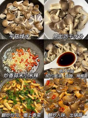 平菇的神仙做法