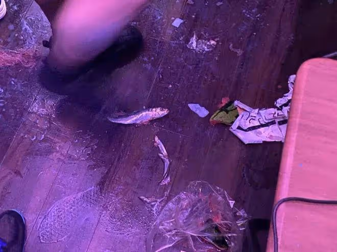 無良女團內部評比，竟實行末位下海制？！