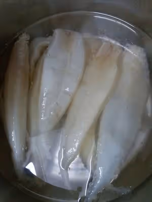 補氣補血魚膠湯