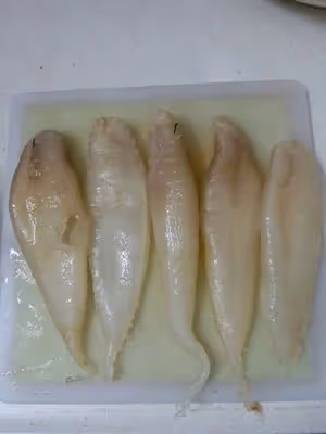 補氣補血魚膠湯