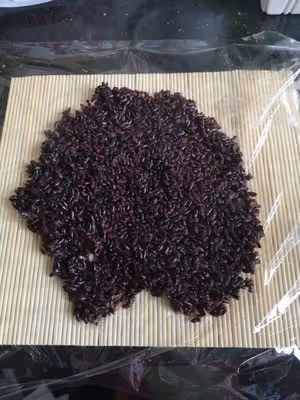 超簡易網紅台灣飯糰