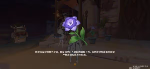 《原神》流浪者任務攻略