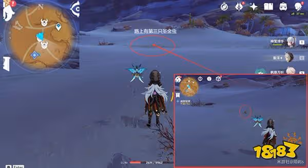 原神聖金蟲採集路線超詳細教程 聖金蟲怎麼獲得