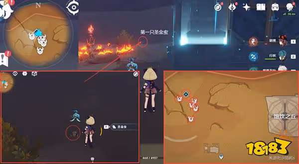 原神聖金蟲採集路線超詳細教程 聖金蟲怎麼獲得