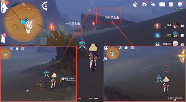 原神聖金蟲採集路線超詳細教程 聖金蟲怎麼獲得