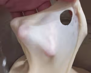 葡萄乾吐司