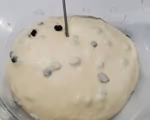 葡萄乾吐司