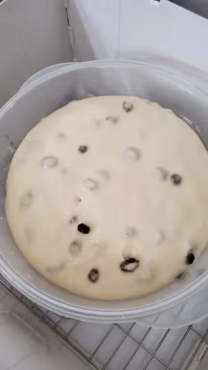 葡萄乾吐司
