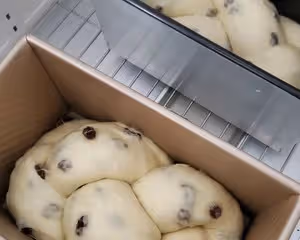 葡萄乾吐司