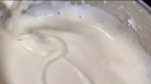 小嶋老師的經典海綿蛋糕