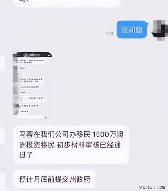 馬蓉移民成功，更換新頭像開啟新生活，取名平凡的小馬