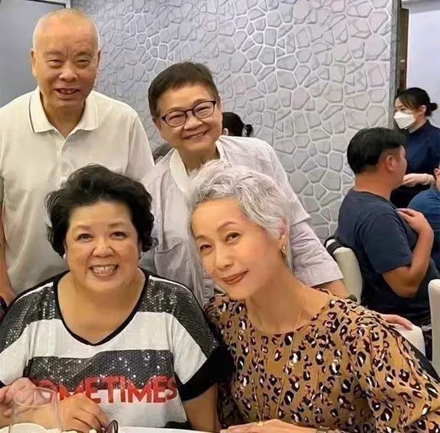 59歲「許仙」葉童近照曝光,頭髮花白穿著老年裝,沒有濃妝艷抹,網友:優雅的老去的樣子真好