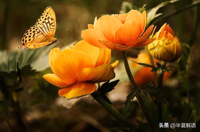 婆家拆遷分200萬,老公只收到50萬借條,婆婆:錢給你弟全款買房