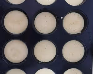 12連模老式蜂蜜蛋糕