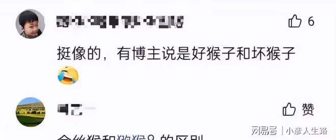 從年輕周一圍到低配黃軒,這6組撞臉的男星,把我看「臉盲」了