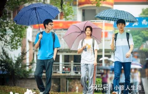 口碑爆棚、劇情緊湊，正在熱播的這4部劇，一定要看啊