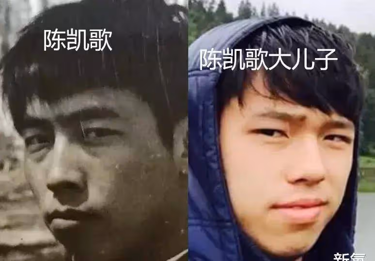 楊冪的閨女小糯米最像的人居然不是她?家族顏值遺傳真·玄學
