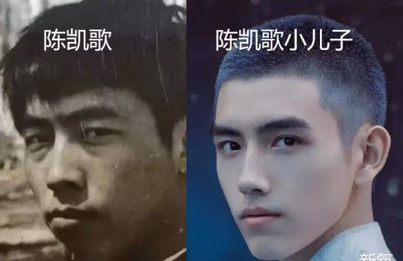 楊冪的閨女小糯米最像的人居然不是她?家族顏值遺傳真·玄學