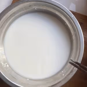 正宗東北鍋包肉