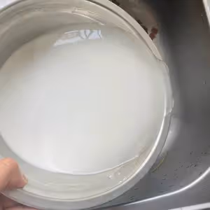 正宗東北鍋包肉