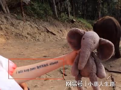 曝王悅伊和華晨宇分手？手臂情侶紋身重現，前任仍保留2人回憶