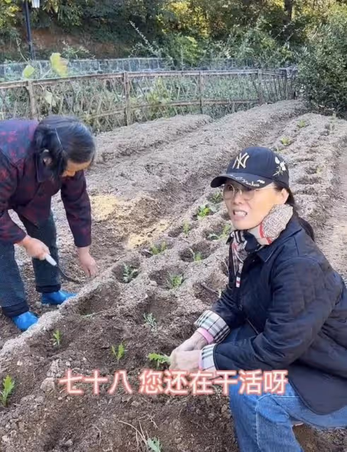 60歲吳瓊回安徽農村老家,穿九千五外套站泥土地里,種菜姿勢熟練
