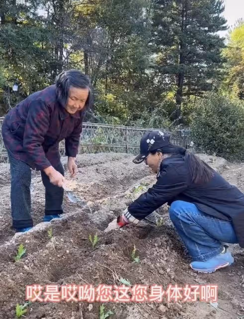 60歲吳瓊回安徽農村老家,穿九千五外套站泥土地里,種菜姿勢熟練